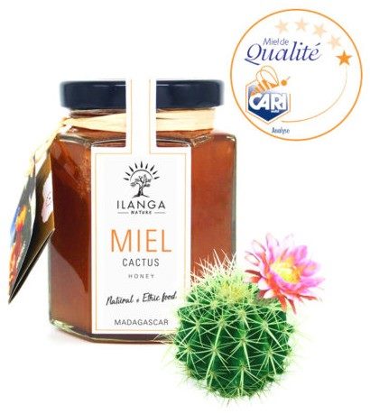 65006366_1284989838316197_5182664176257990656_n_1284989831649531 Miel de cactus