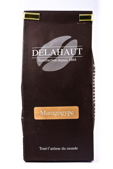 MARAGOGYPE MARAGOGYPE